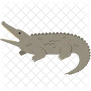 Crocodile Animal Wildlife Icon