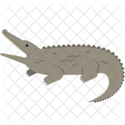 Crocodile  Icon