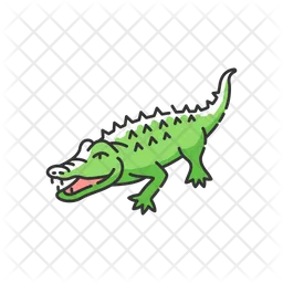 Crocodile  Icon