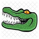 Crocodile Mascot Crocodile Face Crocodylidae Face Icon