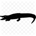 Alligator Crocodile Reptile Icon