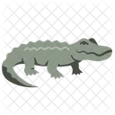 Plano Crocodilo Ícone