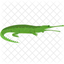 Crocodilo  Ícone