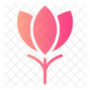 Crocus Botanical Blossom Icon