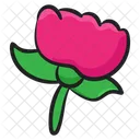 Crocus Blossom Botany Icon