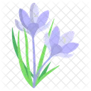 Crocus Flower Blossom Icon