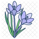 Crocus Flower Blossom Icon