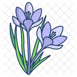 Crocus  Icon