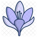 Crocus Flower Flowers Icon