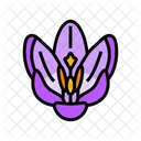 Crocus Flower Spring Icon