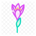 Crocus Flower Spring Icon