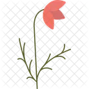Crocus Flower Spring Flower Vibrant Bloom Icon
