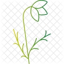 Crocus Flower Spring Flower Vibrant Bloom Icon