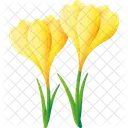 Crocus Nature Floral Icon