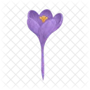 Crocus Icon