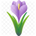 Crocus Nature Floral Icon