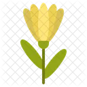 Perennials Flowerpower Cutflowers Icon