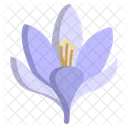 Crocus Flower Flowers Icon