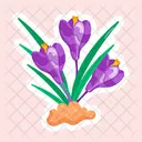 Flower Stickers Blooming Flowers Spring Flowers Icon