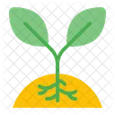 Plante Croissance Eco Icône