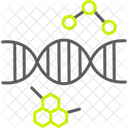 Cromosoma Adn Genetico Icono