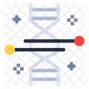 Cromosoma Adn Ingenieria Genetica Icono