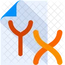 Cromosoma X Y Cromosoma De Genero Documento De Genero Icon