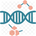 Cromossomo DNA Genetico Symbol