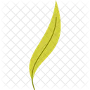 Crooked Pointy Leaf Spring Nature Icon