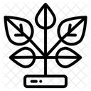 Crop  Icon