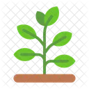 Crop Plant Organic Icon