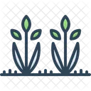 Crops  Icon