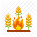 Crops fire  Icon
