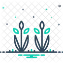 Crops Plant Cultivation Icon