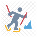 Cross Country Skiing Skiing Nordic Skiing Icon