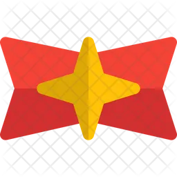 Cross Star Badge  Icon