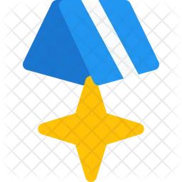 Cross Star Medal  Icon