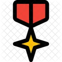 Cross Star Medal  Icon