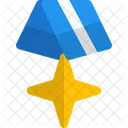 Cross Star Medal Medal Badge Icon