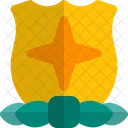 Cross Star Shield Cross Star Badge Cross Star Medal Icon