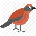 Crossbill Bird Flying Icon