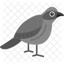 Crossbill Bird Flying Icon