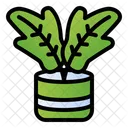 Croton Plant Nature Icon