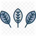 Croton Indoor Plants Icon