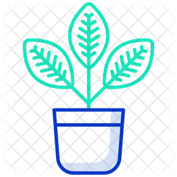 Croton Plant  Icon