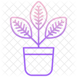 Croton Plant  Icon