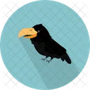Crow Aves Bird Icon