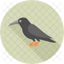 Crow Bird Blackbird Icon