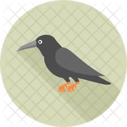 Crow  Icon