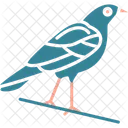 Crow Bird Flying Icon